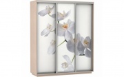 шкаф-купе е1 экспресс трехдверный с фотопечатью орхидея трио на Vishop.by 