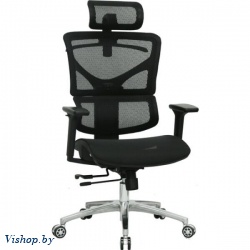 кресло evolution ergo mesh на Vishop.by 