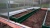 Грядка Синьор Помидор 5 м ширина 0.65м зеленый мох