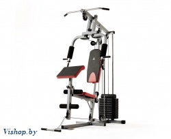 Силовой комплекс DFC HomeGym D7001 / стек 45 кг