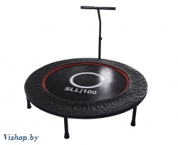 Батут с поручнем DFC Trampoline Dia 40" SLL100