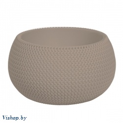Кашпо Vishop.by, купить Splofy для DKSP370-7529U Prosperplast Bowl рассрочка! недорого цветов на
