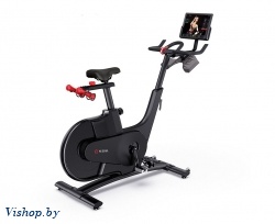 Велотренажер YESOUL Smart Spinning bike V1 черный 