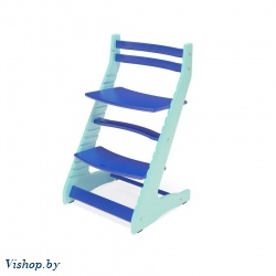 растущий регулируемый стул вырастайка eco prime синий бирюзовый на Vishop.by 