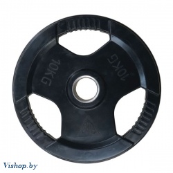 Диск обрезиненный DFC с хватом 51 мм 10 кг WP015-51-10
