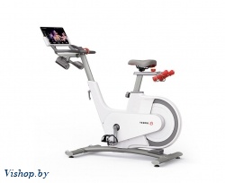 Велотренажер YESOUL Smart Spinning bike V1 белый 