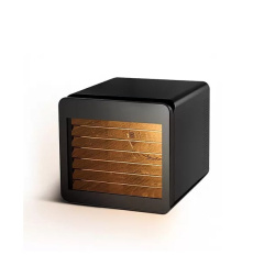 Сушильный шкаф для овощей и фруктов BQ FD1006 черный сталь