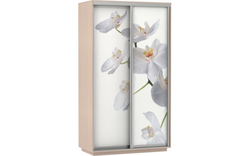 шкаф-купе е1 экспресс двухдверный с фотопечатью орхидея дуо на Vishop.by 