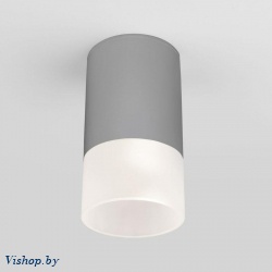 Светильник уличный Elektrostandard Light LED 2107 35140/H серый