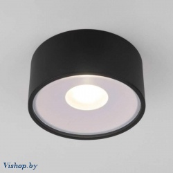 Светильник уличный Elektrostandard Light LED 2135 35141/H черный