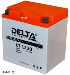 Мотоаккумулятор DELTA AGM СТ 1230 YIX30L / YIX30L-BS / YB30L (30 А/ч)