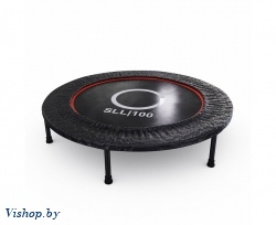 Батут DFC Trampoline Dia 40