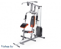 Силовой комплекс DFC HomeGym D7001-60 / стек 60 кг