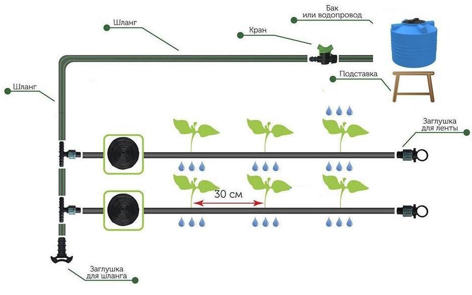 Капельный полив схема фото
