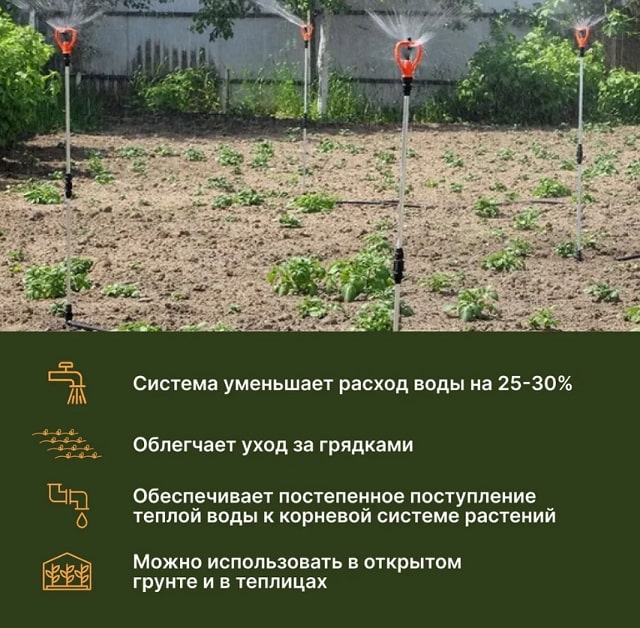 330726-00 4.jpg 330726-00 4.jpg