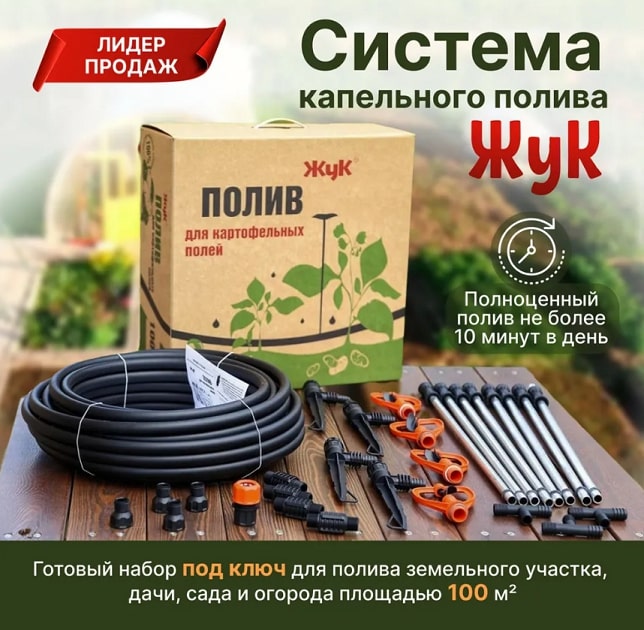 330726-00 3.jpg 330726-00 3.jpg