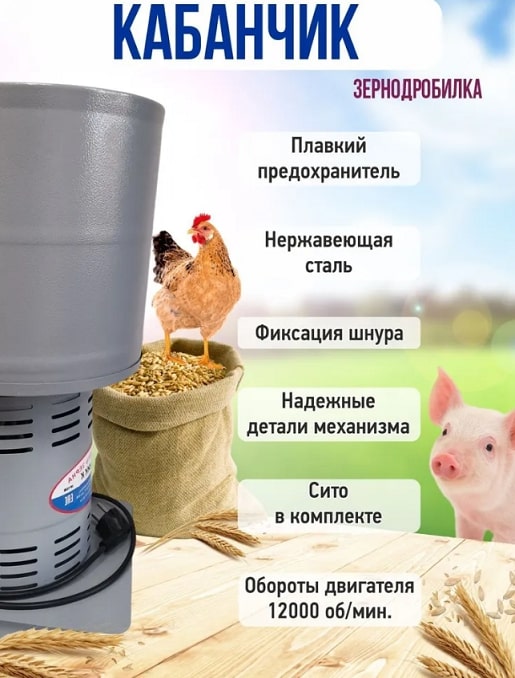 Кабанчик 1.jpg