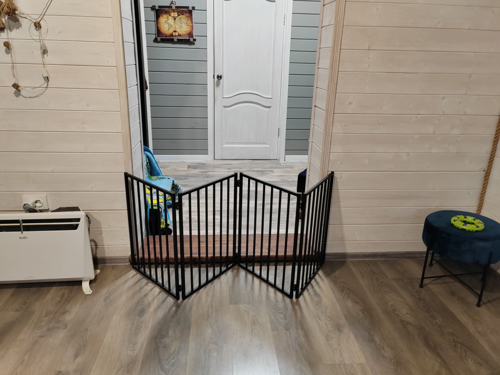 IMG_20251026_172219.jpg IMG_20251026_172219.jpg