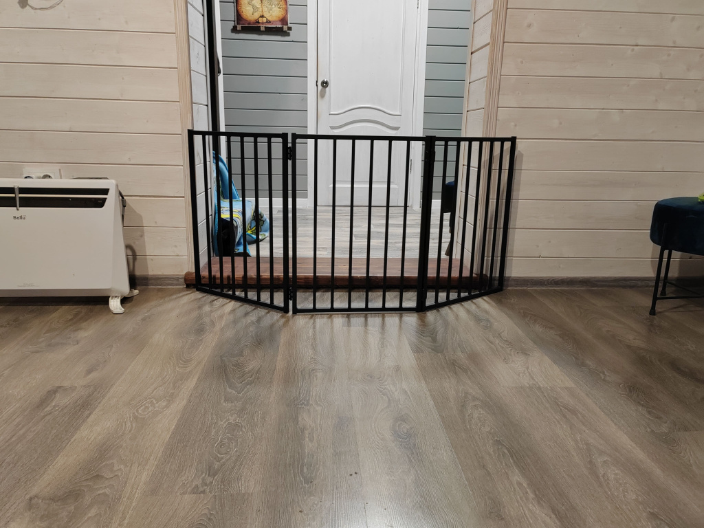 IMG_20251026_172546.jpg IMG_20251026_172546.jpg