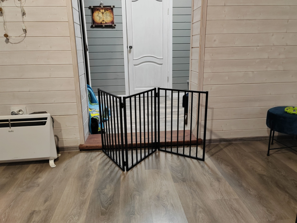 IMG_20251026_172655.jpg IMG_20251026_172655.jpg