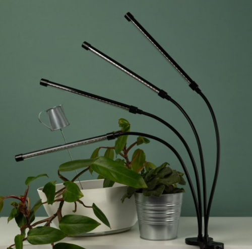 Светильник для растений ЭРА FITO-40W-АLED-RB / Б0068219