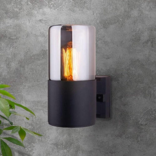 Бра уличное Elektrostandard Roil 35125/U черный/дымчатый