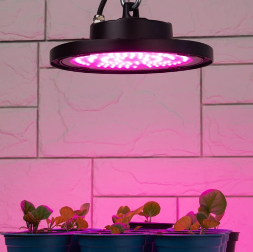 Светильник для растений ЭРА FITO-50W-RB-LED-UFO / Б0053280