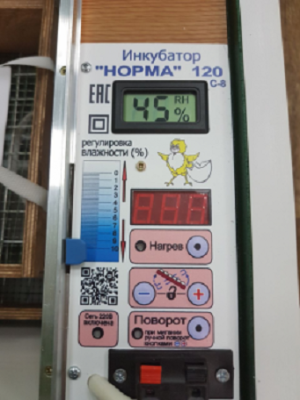 Инкубатор Норма Парка 120 С8
