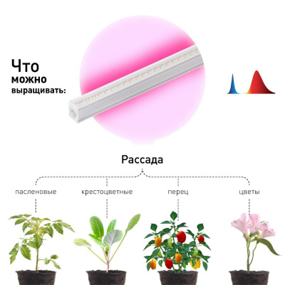 Светильник для растений ЭРА FITO-36W-RB-N / Б0045697