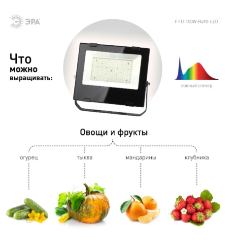 Светильник для растений ЭРА FITO-100W-Ra90-LED / Б0047876