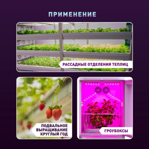 Светильник для растений ЭРА Fito-160W-LED-QB Quantum Board / Б0057283