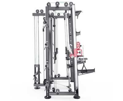 Мультистанция машина Смита DFC Gorilla Sport 822