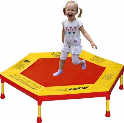 Батут Leco-IT Home 100 см.
