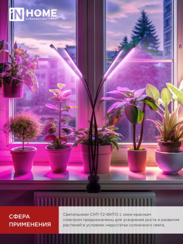 Светильник для растений INhome СНП-Т2-Фито / 4690612053554