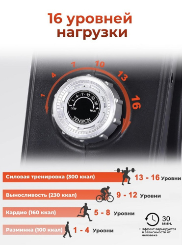 Гребной тренажер DFC ECHANFIT складной