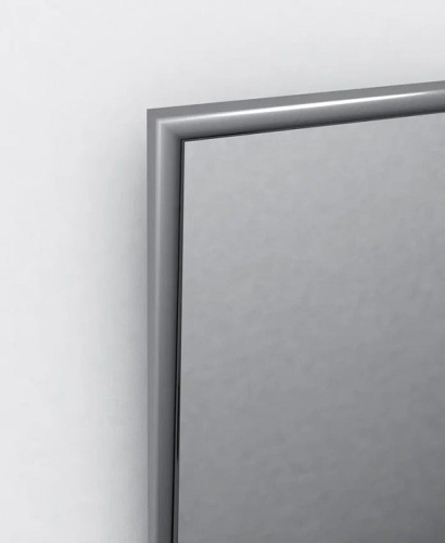 Зеркало навесное Сельетта 5 матовое серебро 