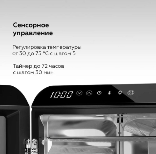 Сушильный шкаф для овощей и фруктов BQ FD1006 черный