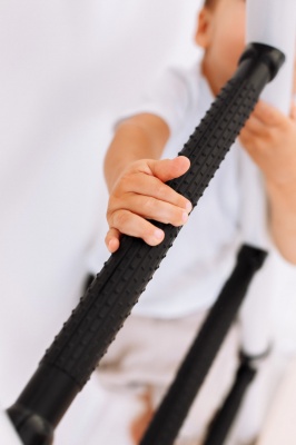 ДСК Romana S10 черный