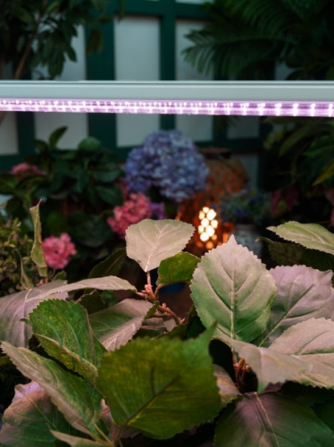 Светильник для растений Uniel ULI-P13-35W/SPLE IP40 / UL-00007514