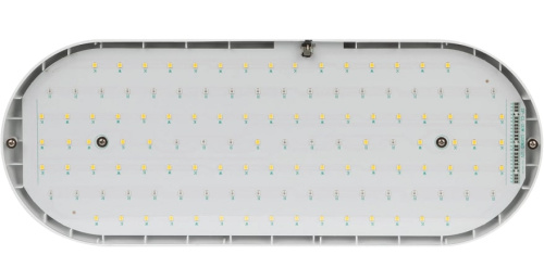 Светильник для растений ЭРА FITO-25W-QLED-FLY / Б0053062