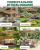 Зонт садовый Green Glade 72163 светло-коричневый