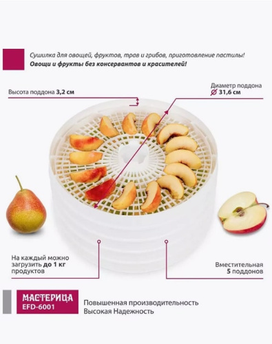 Сушилка для овощей и фруктов Мастерица EFD-6001 белый