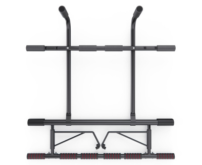 Дверной турник DFC SPORTSTECH KS500