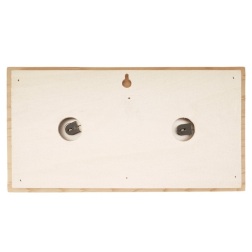 Термогигрометр EVEREST горизонталь кедр (TG-04 white)