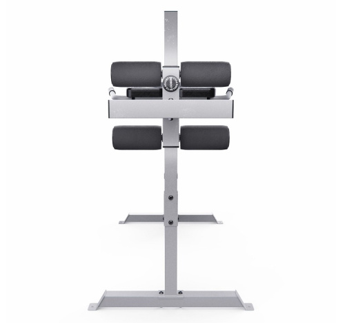 Гиперэкстензия римский стул DFC CAP серебряный