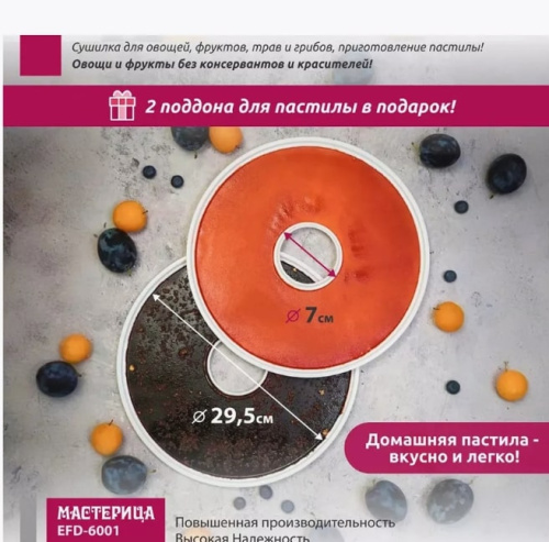 Сушилка для овощей и фруктов Мастерица EFD-6001 белый