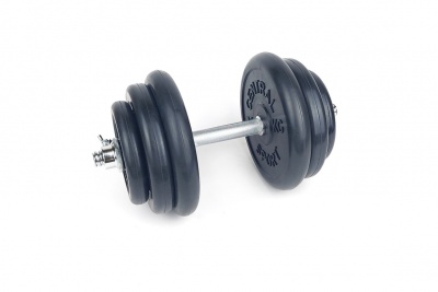 Гантель разборная Central Sport Lockout 32кг