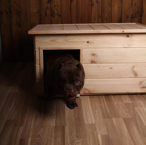 Будка для собак №3 неокрашенная