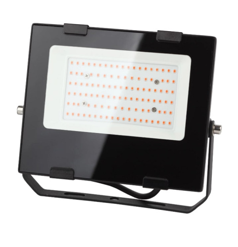 Светильник для растений ЭРА FITO-50W-RB-LED / Б0046368