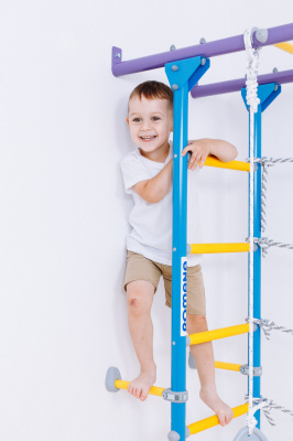 ДСК ROMANA S4 сиренево-голубой